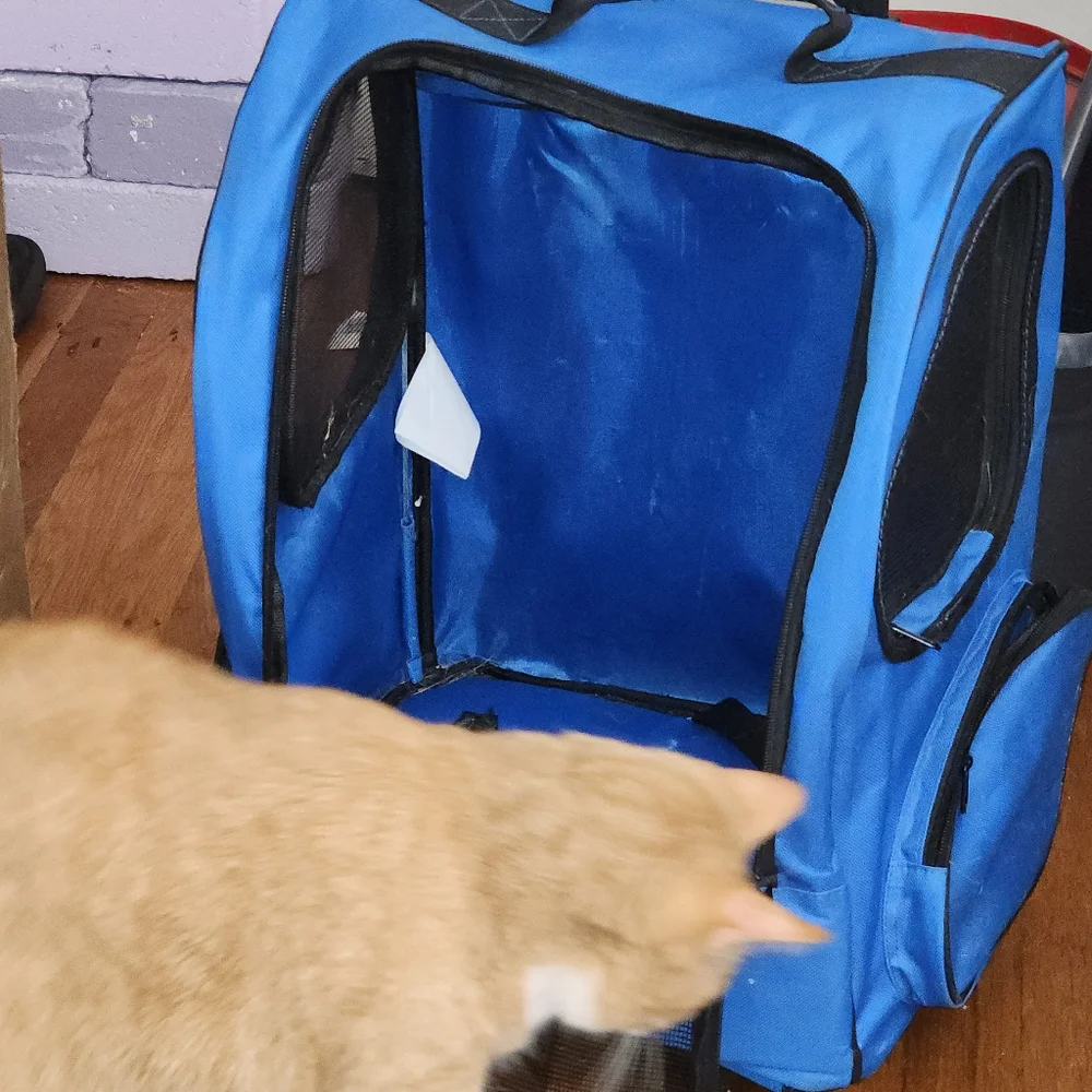 Pet Carrier